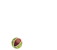 conca logo